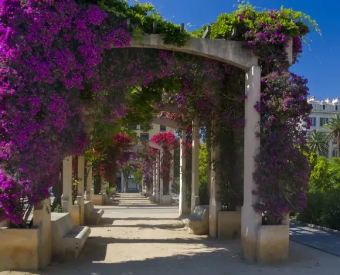 Framed Print : France, Corsica. Flowers in bloom on arbors above walkway at Place De Gaulle (De Gaulle Square)