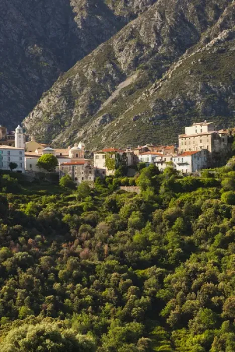 Framed Print : France, Corsica, Haute-Corse Department, La Balagne Region, Belgodere, elevated town view Framed Print : France, Corsica, Haute-Corse Department, La Balagne Region, Belgodere, elevated town view