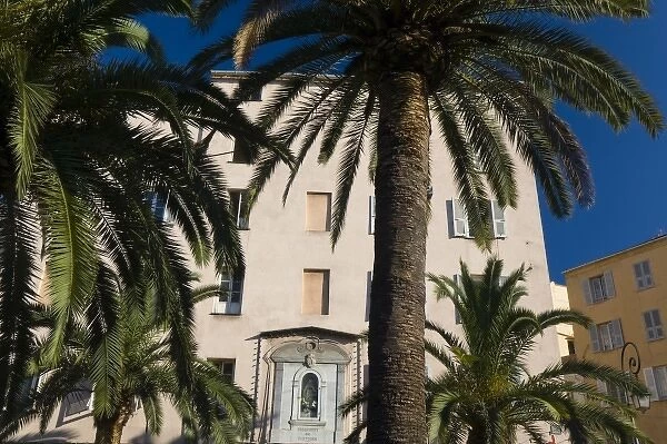 France, Corsica. Palm trees and apartment building. Ajaccio