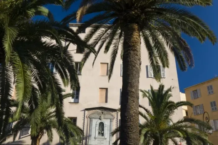 Framed Print : France, Corsica. Palm trees and apartment building. Ajaccio