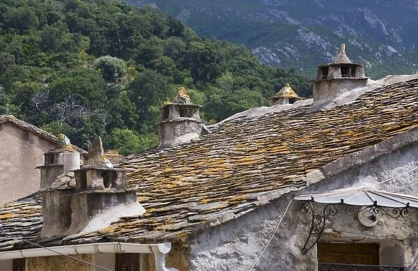 France, Corsica. Slate roof and hand-molded chimneys on house in village of Oletta