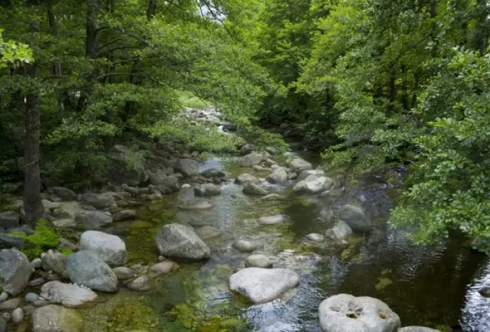 Framed Print : France, Corsica. Stream and forest at mouth of Gorges du Tavignano (Tavignao Gorge) near Corte Framed Print : France, Corsica. Stream and forest at mouth of Gorges du Tavignano (Tavignao Gorge) near Corte