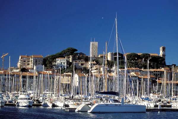 France, Cote D Azur, Cannes. Old city and touristic harbor