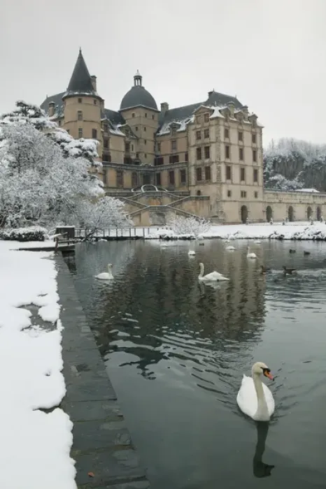 Framed Print : FRANCE-French Alps (Isere)-VIZILLE: Chateau de Vizille Park after winter stormSwan Lake