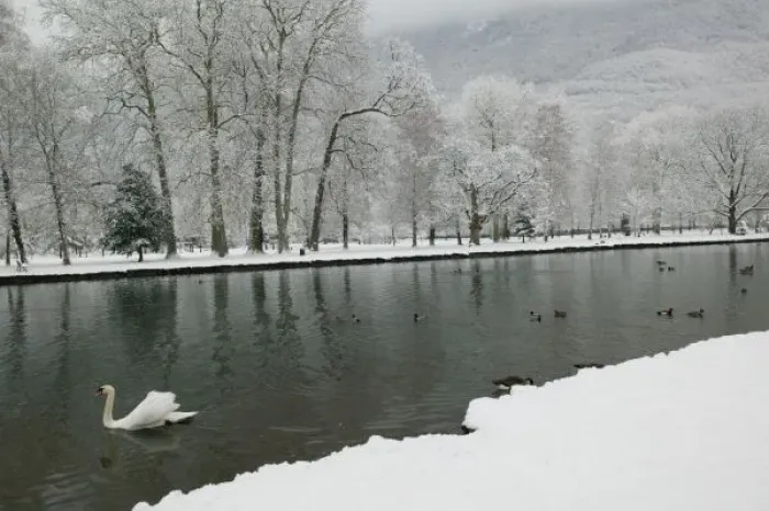 Framed Print : FRANCE, French Alps (Isere), VIZILLE: Chateau de Vizille Park after winter stormSwan Lake Framed Print : FRANCE, French Alps (Isere), VIZILLE: Chateau de Vizille Park after winter stormSwan Lake