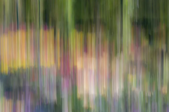 Framed Print : France, Giverny. Abstract of flowers in Monets Garden Framed Print : France, Giverny. Abstract of flowers in Monets Garden