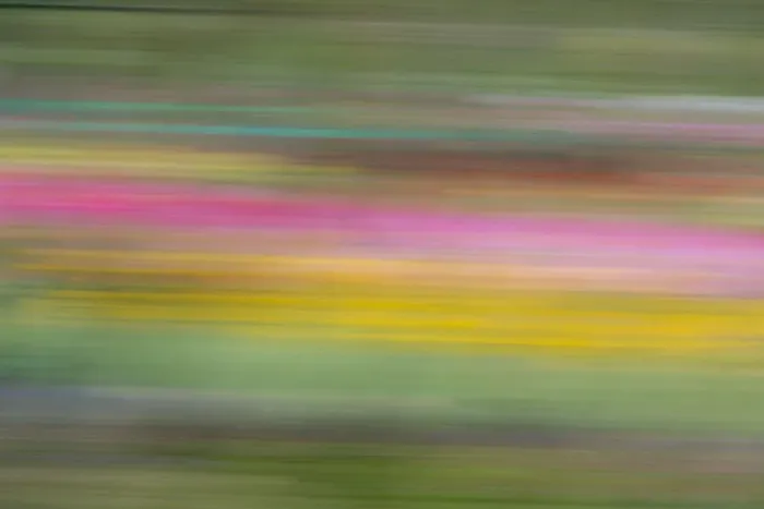 Framed Print : France, Giverny. Abstract of flowers in Monets Garden Framed Print : France, Giverny. Abstract of flowers in Monets Garden