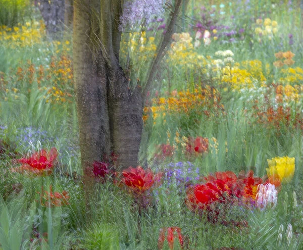 France, Giverny. Impression of flowers in Monets Garden