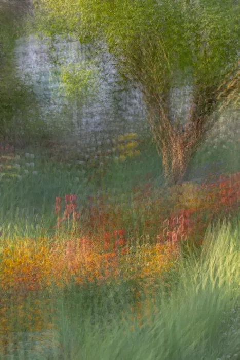 Framed Print : France, Giverny. Impression of flowers in Monets Garden