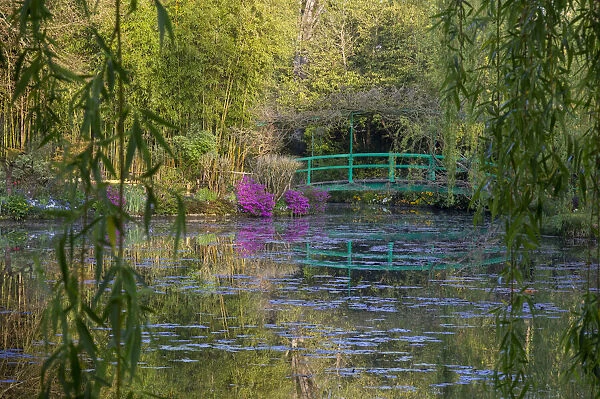 France, Giverny, Monets Garden. Sunrise view of iconic bridge and lily pond