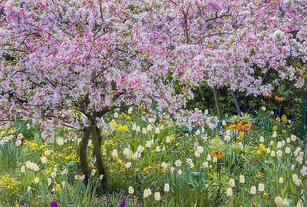 France, Giverny. Springtime in Claude Monets garden