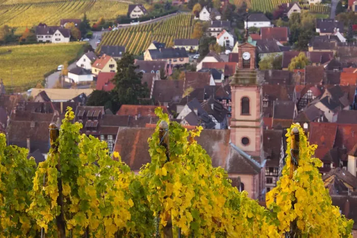 Framed Print : France, Haut-Rhin, Alsace Region, Alasatian Wine Route, Riquewihr, town view, dawn Framed Print : France, Haut-Rhin, Alsace Region, Alasatian Wine Route, Riquewihr, town view, dawn