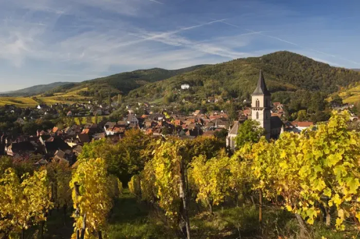 Framed Print : France, Haut-Rhin, Alsace Region, Alasatian Wine Route, Ribeauville, town overview Framed Print : France, Haut-Rhin, Alsace Region, Alasatian Wine Route, Ribeauville, town overview