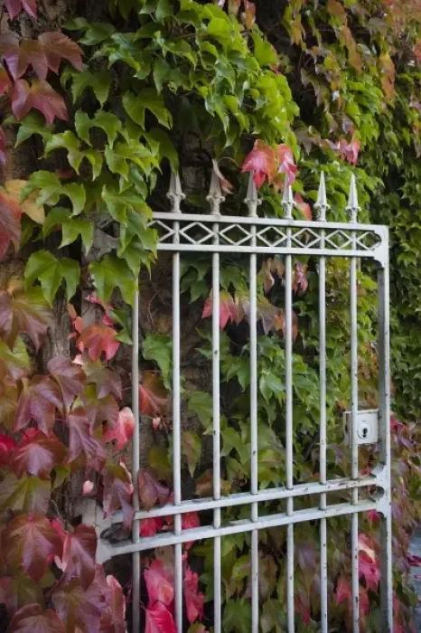 Framed Print : France, Jura Department, Franche-Comte Region, Arbois, gate, autumn