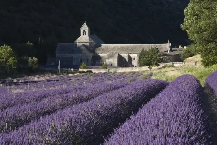 Framed Print : France, Luberon, Senanque Monastery with lavender fields Framed Print : France, Luberon, Senanque Monastery with lavender fields
