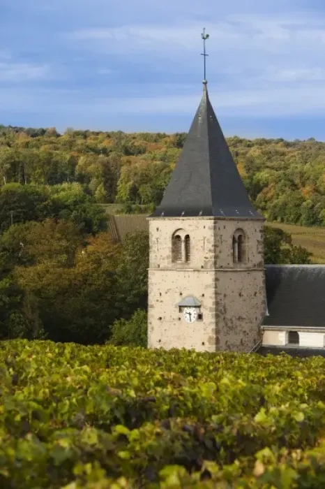 Framed Print : France, Marne, Champagne Ardenne, Mailly-Champagne, town church and vineyards Framed Print : France, Marne, Champagne Ardenne, Mailly-Champagne, town church and vineyards