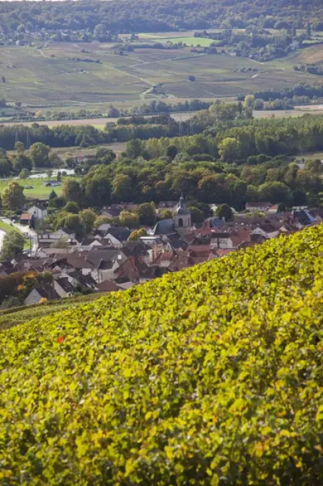 Framed Print : France, Marne, Champagne Region, Cumieres, town overview from vineyards Framed Print : France, Marne, Champagne Region, Cumieres, town overview from vineyards