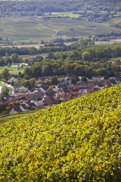 France, Marne, Champagne Region, Cumieres, town overview from vineyards