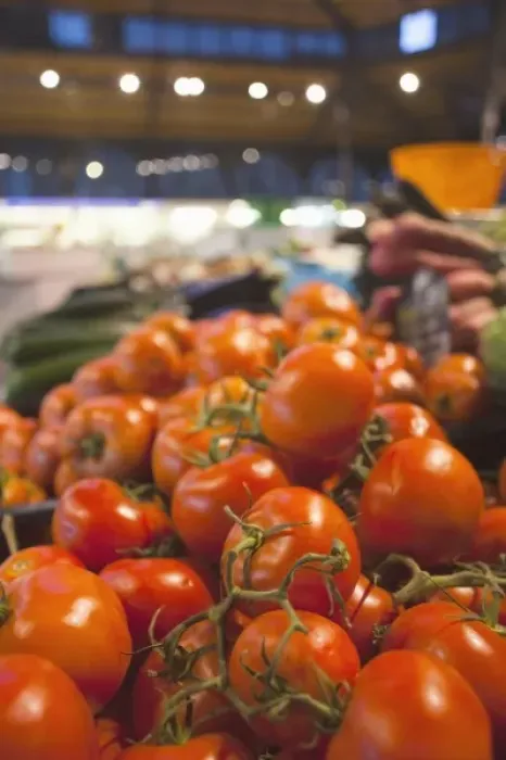 Framed Print : France, Midi-Pyrenees Region, Tarn Department, Albi, covered market, tomatoes Framed Print : France, Midi-Pyrenees Region, Tarn Department, Albi, covered market, tomatoes