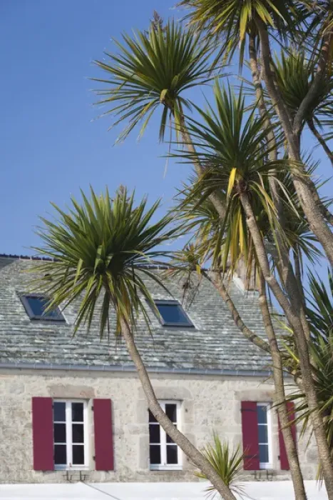 Framed Print : France, Normandy Region, Manche Department, St-Germain des Vaux, building detail