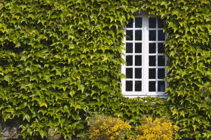 Framed Print : France, Normandy Region, Manche Department, St-Germain des Vaux, window detail Framed Print : France, Normandy Region, Manche Department, St-Germain des Vaux, window detail