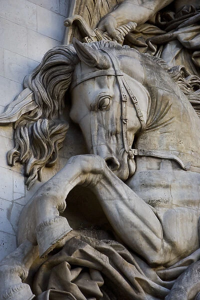 France, Paris. Horse head detail on the Arc de Triomphe