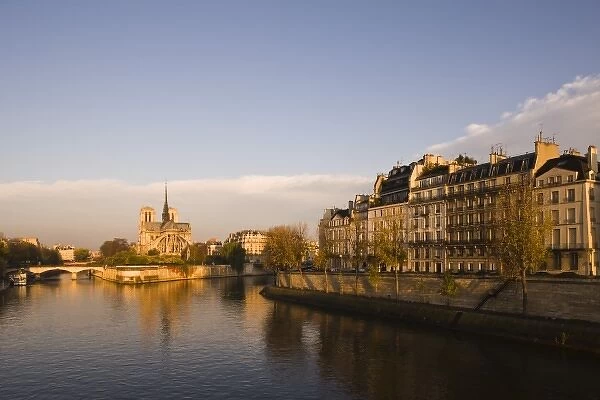 France, Paris, Notre-Dame cathedral and Ile St-Louis buildings, dawn