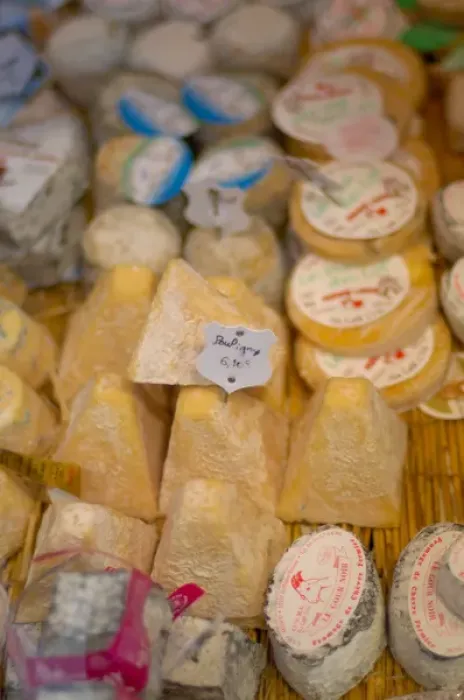 Framed Print : 03. France, Paris, variety of cheese for sale in cheese shop