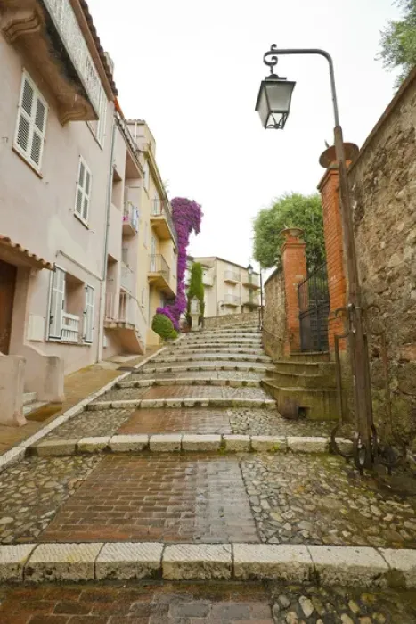 Framed Print : France, Provence, Cannes. Rain-covered steps in a residential area. Credit as: Fred Framed Print : France, Provence, Cannes. Rain-covered steps in a residential area. Credit as: Fred