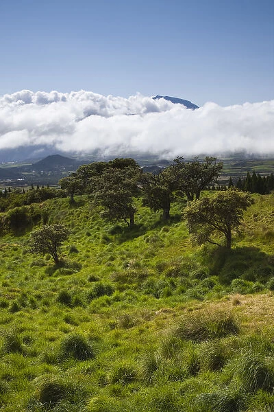 France, Reunion Island, Bourg Murat, Plaine-des-Cafres, landscape on the RF5 towards