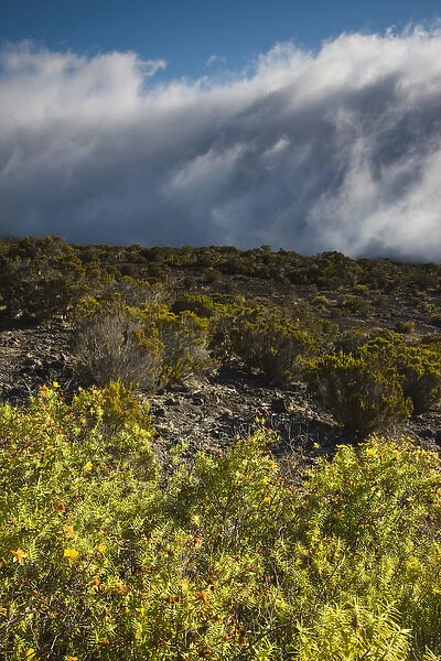 France, Reunion Island, Cirque de Mafate, Le Maido, landscape on Piton Maido Peak (el