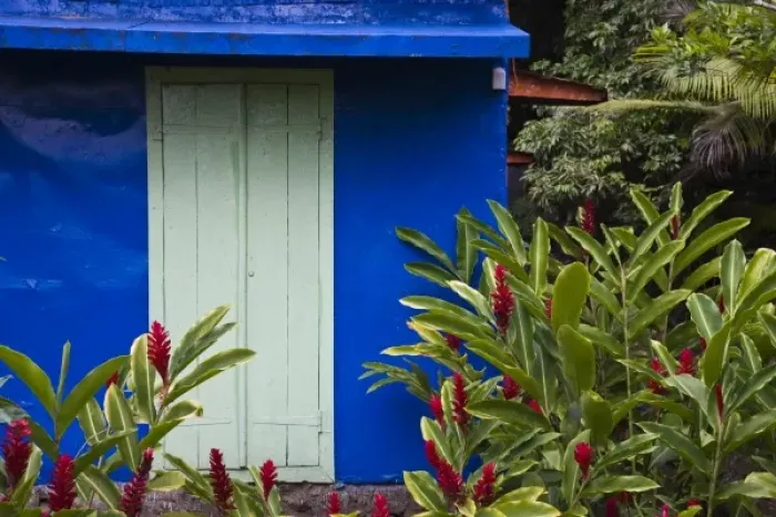 Framed Print : France, Reunion Island, East Reunion, Piton Ste-Rose, blue Creole house with Red Ginger flowers Framed Print : France, Reunion Island, East Reunion, Piton Ste-Rose, blue Creole house with Red Ginger flowers