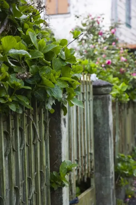 Framed Print : France, Reunion Island, Plaine-des-Palmistes, main street fence Framed Print : France, Reunion Island, Plaine-des-Palmistes, main street fence