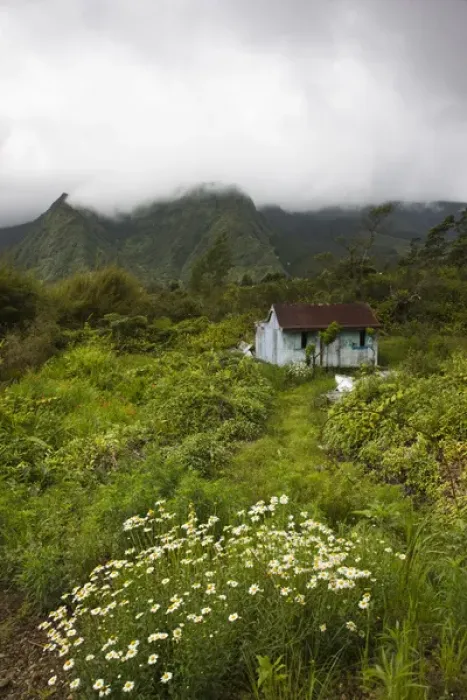 Framed Print : France, Reunion Island, Plaine-des-Palmistes, small Creole-style cabin Framed Print : France, Reunion Island, Plaine-des-Palmistes, small Creole-style cabin