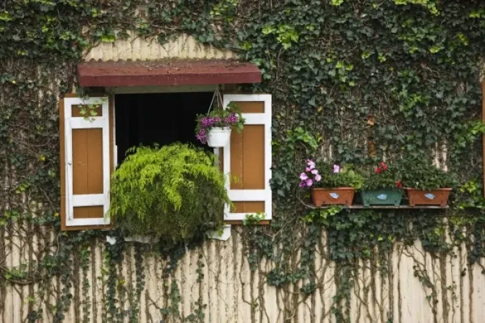 Framed Print : France, Reunion Island, Plaine-des-Palmistes, Creole-style house detail Framed Print : France, Reunion Island, Plaine-des-Palmistes, Creole-style house detail