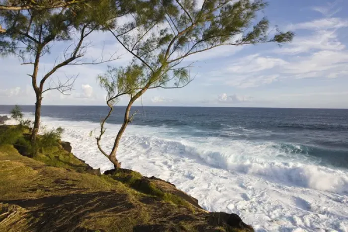 Framed Print : France, Reunion Island, South Reunion, Le Baril, coastline at Le Souffleur d Arbonne Framed Print : France, Reunion Island, South Reunion, Le Baril, coastline at Le Souffleur d Arbonne
