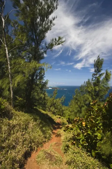 Framed Print : France, Reunion Island, South Reunion, Grande Anse beach path
