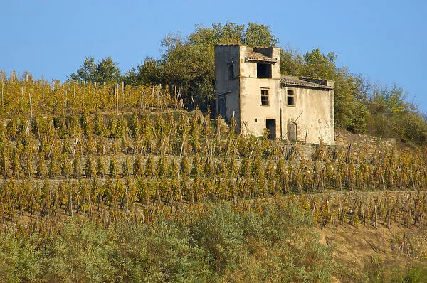 03. France, Rhone-Alps, Condrieu, stucco building among hillside vineyards