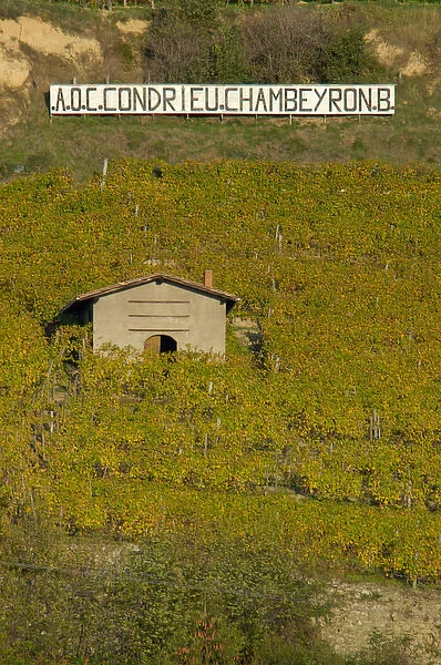 03. France, Rhone-Alps, Condrieu, stucco building among hillside vineyards 