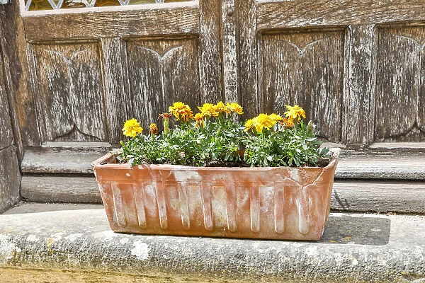 France, Saint-Cirq Lapopie. Flower box on a doorstep