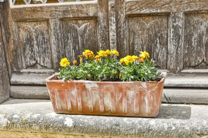 Framed Print : France, Saint-Cirq Lapopie. Flower box on a doorstep Framed Print : France, Saint-Cirq Lapopie. Flower box on a doorstep