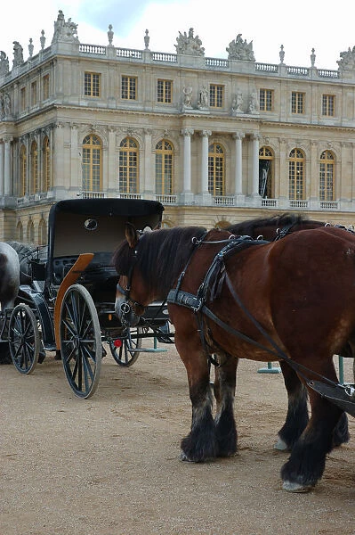 03. France, Versailles, horse and carriage