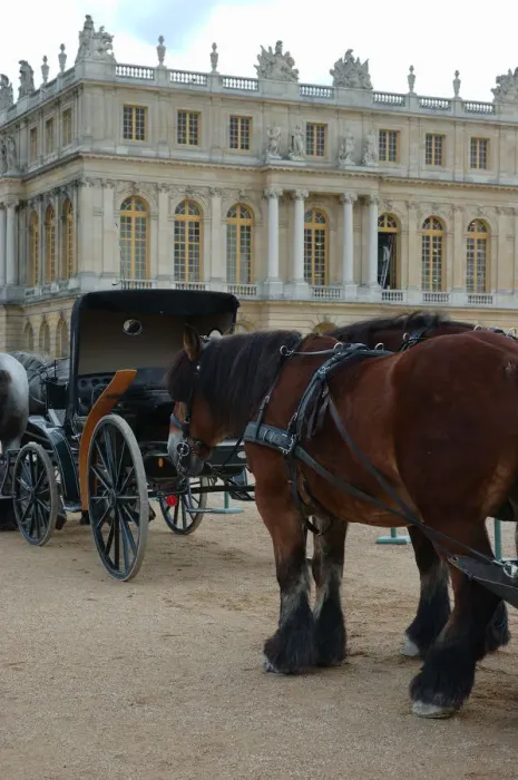 Framed Print : 03. France, Versailles, horse and carriage Framed Print : 03. France, Versailles, horse and carriage