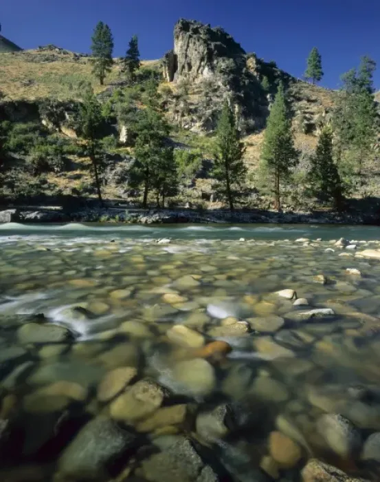 Framed Print : Frank Church River Of No Return Wilderness, Idaho. USA. Stones in clear shallow water Framed Print : Frank Church River Of No Return Wilderness, Idaho. USA. Stones in clear shallow water
