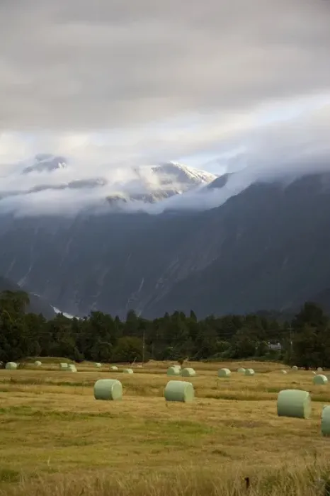 Framed Print : Franz Josef, New Zealand. Farmland surrounding Franz Josef. The glacier can be seen Framed Print : Franz Josef, New Zealand. Farmland surrounding Franz Josef. The glacier can be seen