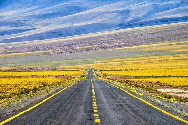 Freeway through Atacama Desert, San Pedro de Atacama, Antofagasta Region, Chile