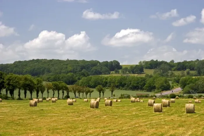 Framed Print : French countryside near Morhange, France. france, french, europe, european