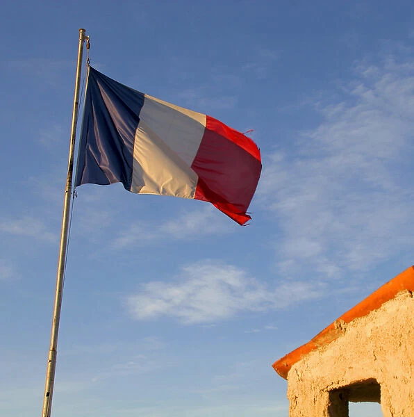 03. French Flag