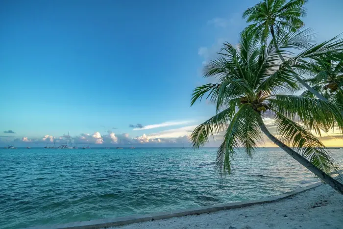 Framed Print : French Polynesia, Rangiroa Atoll. Palm trees and sailboats on ocean at sunset. ©Cathy & Gordon Illg / Jaynes Gallery / DanitaDelimont.com Framed Print : French Polynesia, Rangiroa Atoll. Palm trees and sailboats on ocean at sunset. ©Cathy & Gordon Illg / Jaynes Gallery / DanitaDelimont.com