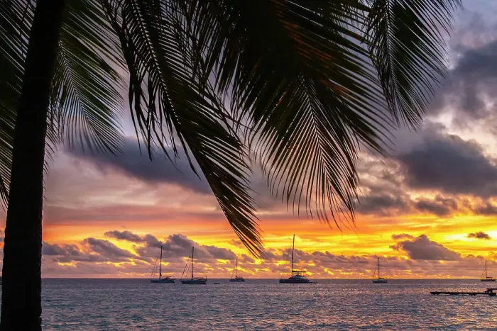 Framed Print : French Polynesia, Rangiroa Atoll. Palm tree and sailboats at sunset. ©Cathy & Gordon Illg / Jaynes Gallery / DanitaDelimont.com Framed Print : French Polynesia, Rangiroa Atoll. Palm tree and sailboats at sunset. ©Cathy & Gordon Illg / Jaynes Gallery / DanitaDelimont.com